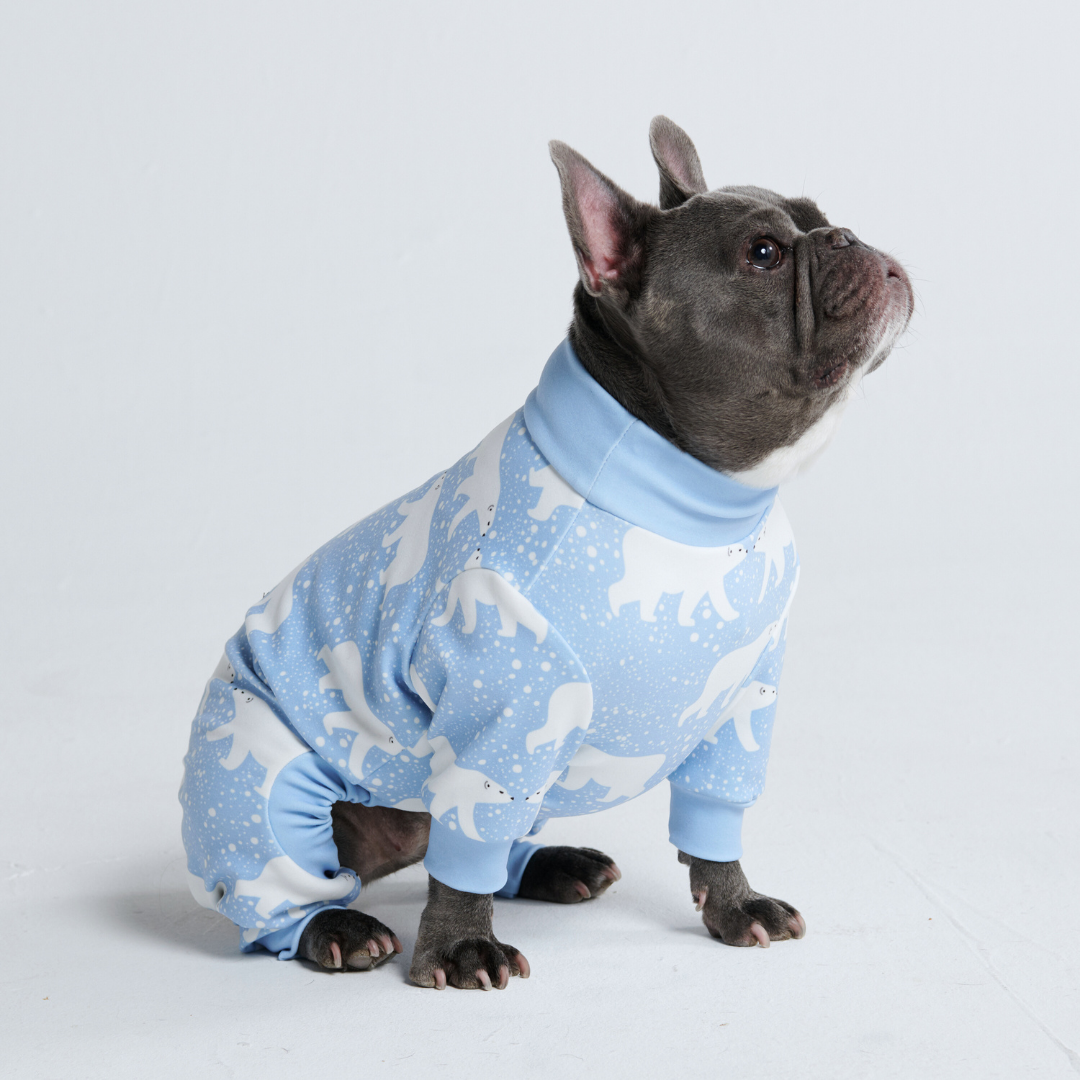 Snowy Polar Bear Dog Pajamas
