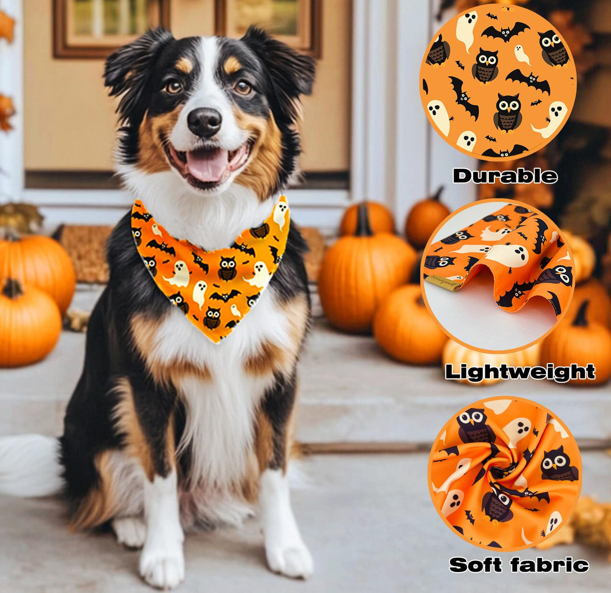 Raisingwell Halloween Dog Bandana — Large