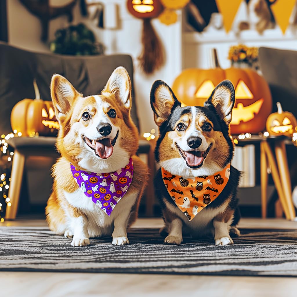 Raisingwell Halloween Dog Bandana — Large