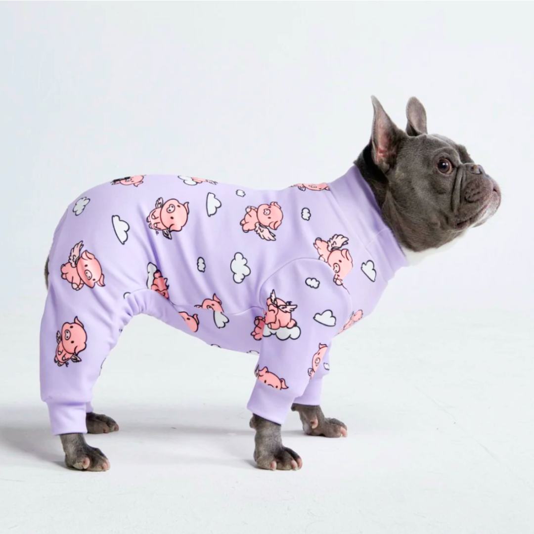When Pigs Fly Dog Pajamas