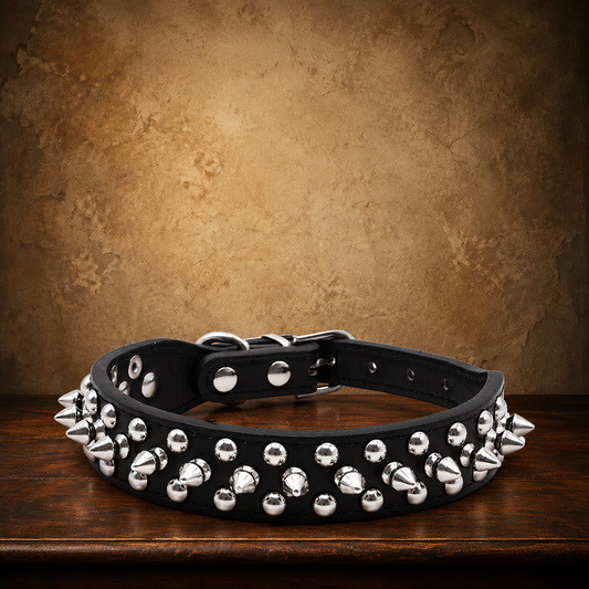 The Little Hellion Padded Collar