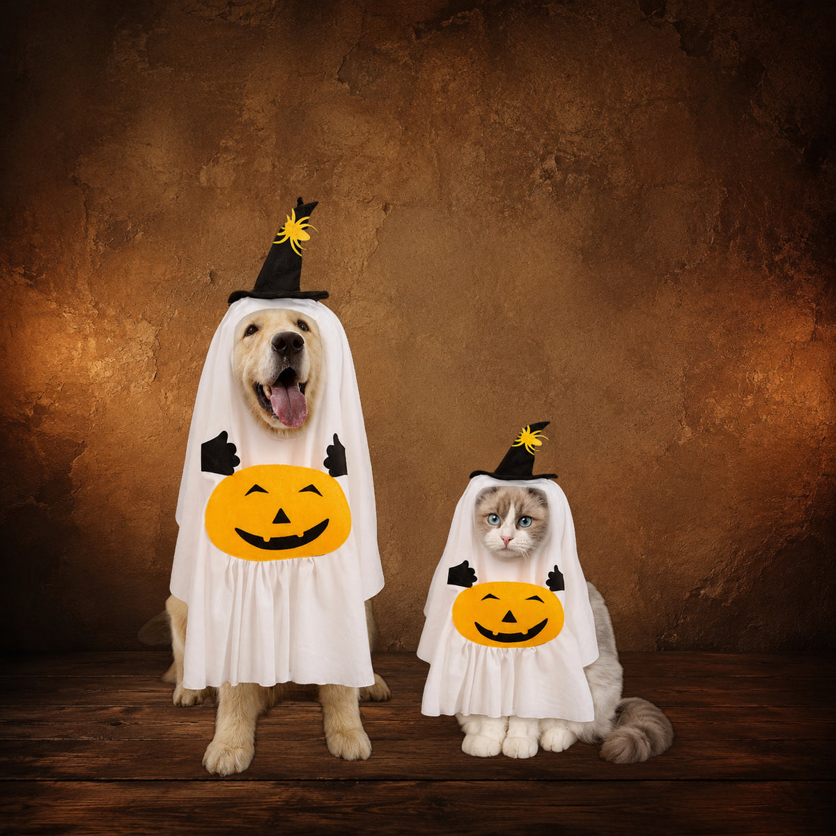 The Pumpkin Wraith Pet Costume on an antique Pate’s Pugorium backdrop