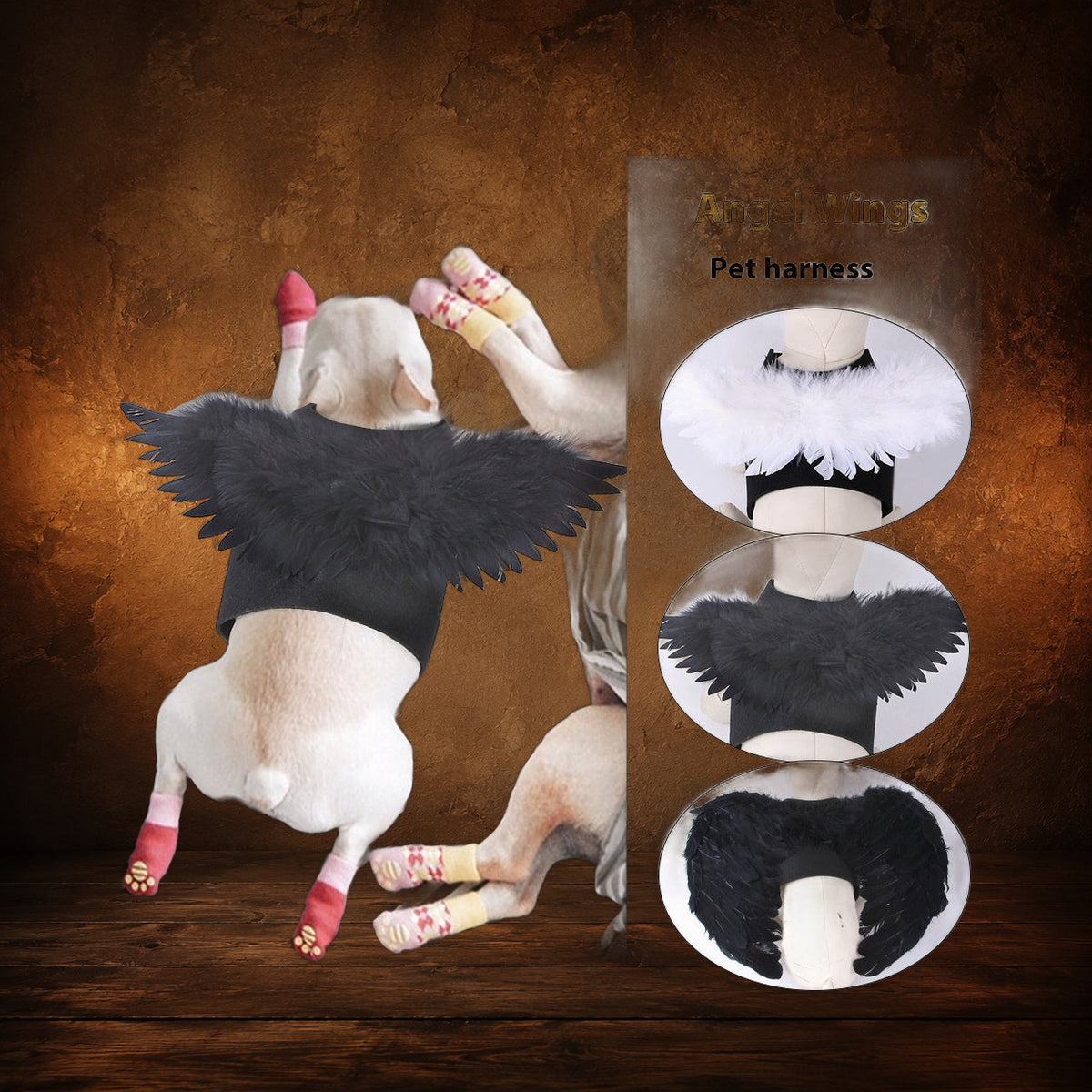 The Fallen Angel Pet Wings on an antique Pate’s Pugorium backdrop