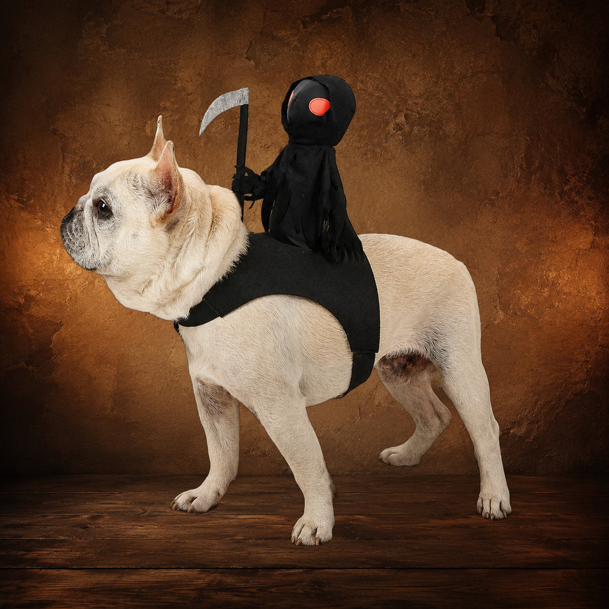 The Dark Harvester Rider Costume on an antique Pate’s Pugorium backdrop