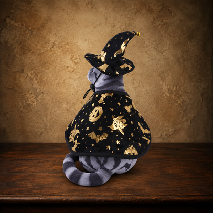 The Familiar’s Wizard Hat & Cloak