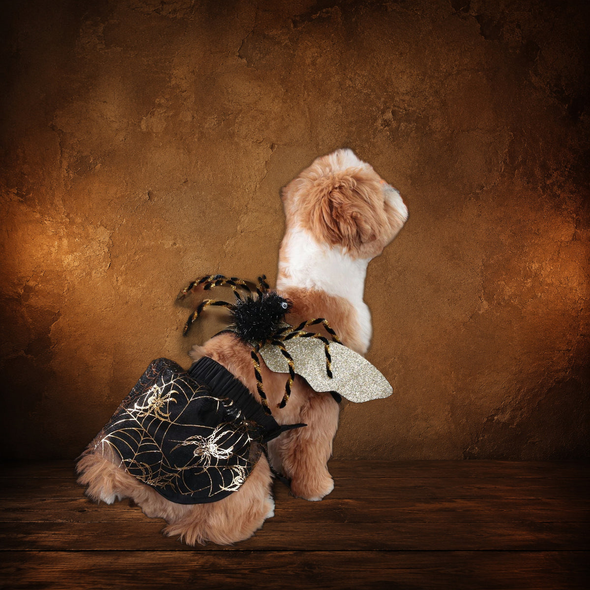 The Nocturne Formal Dog Suit on an antique Pate’s Pugorium backdrop