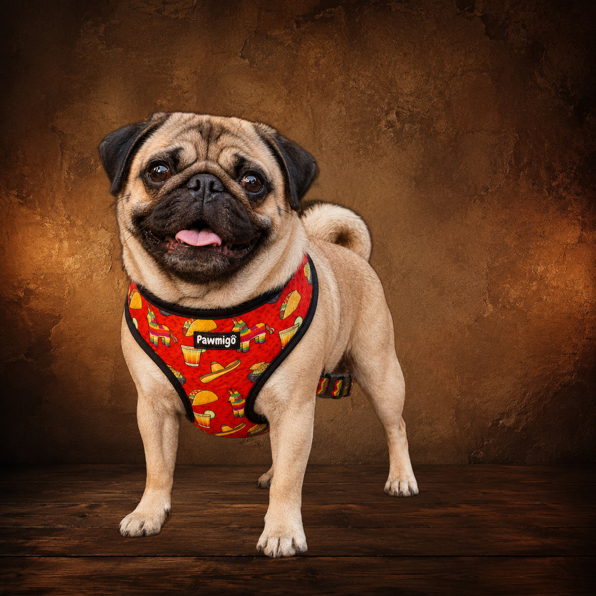 The Taco Tuesday Procession — Reversible Dog Harness on an antique Pate’s Pugorium backdrop