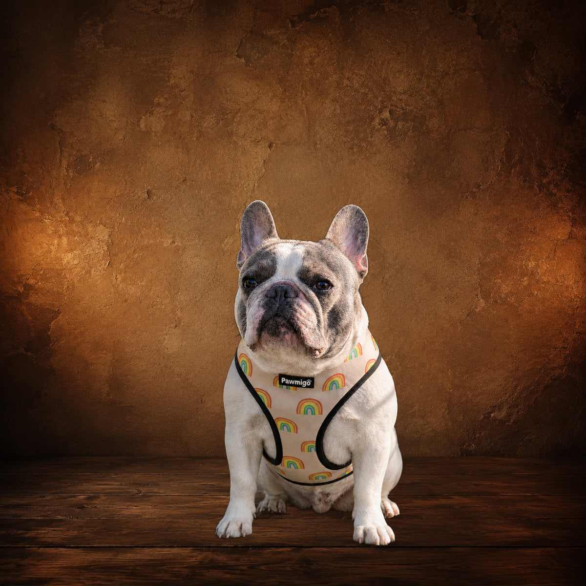 The Rainbow Procession — Reversible Dog Harness on an antique Pate’s Pugorium backdrop
