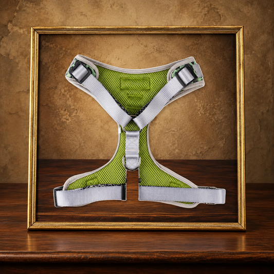 The Wild One — Adjustable Dog Harness