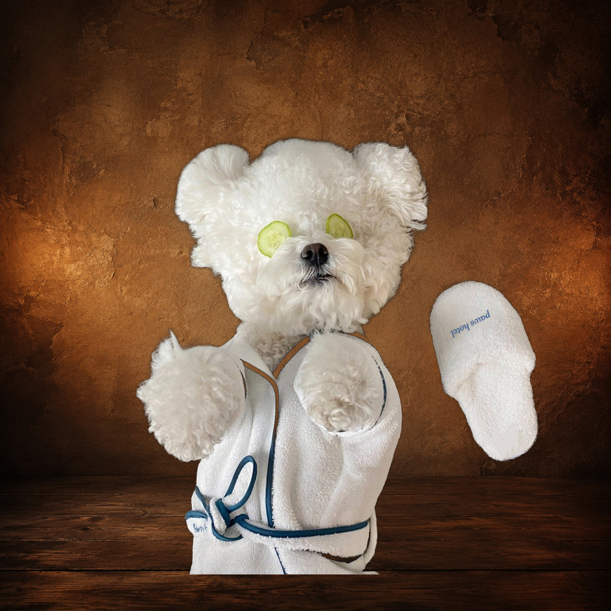 The Hotel Bathrobe Set on an antique Pate’s Pugorium backdrop