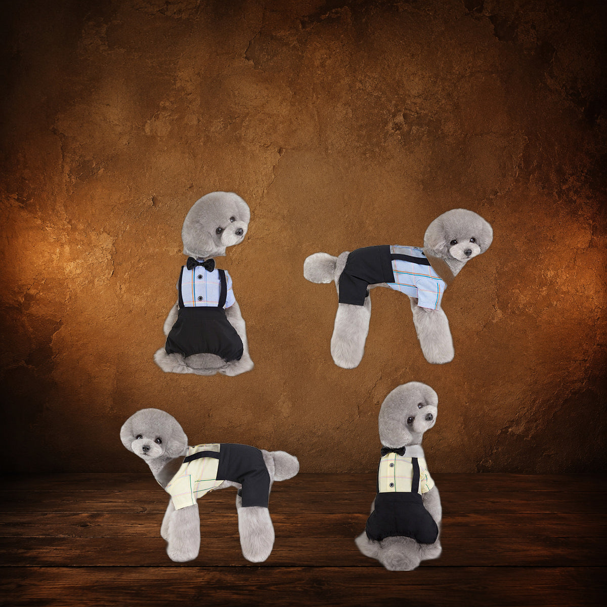 The Academy Day Suit on an antique Pate’s Pugorium backdrop