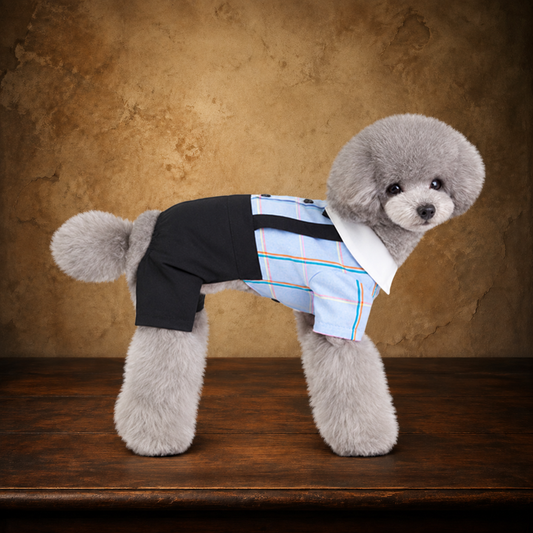 The Academy Day Suit