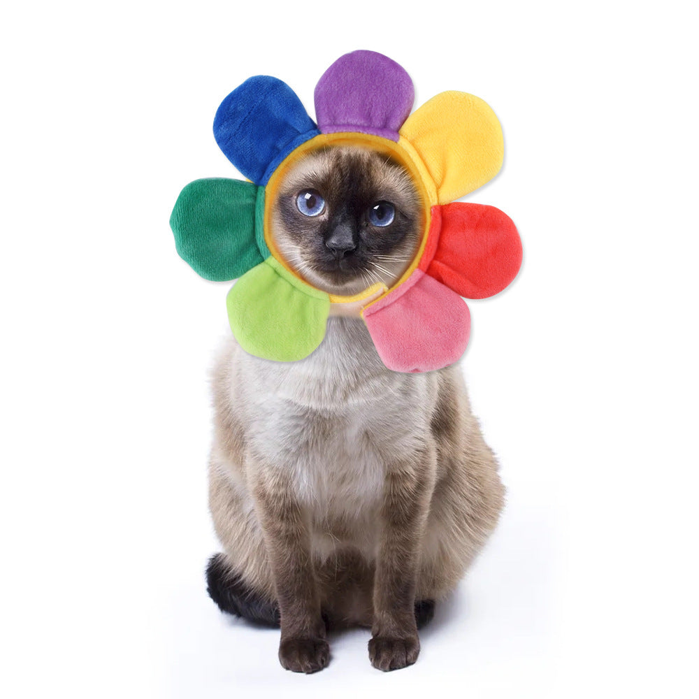 Cartoon Pet Costume Hat