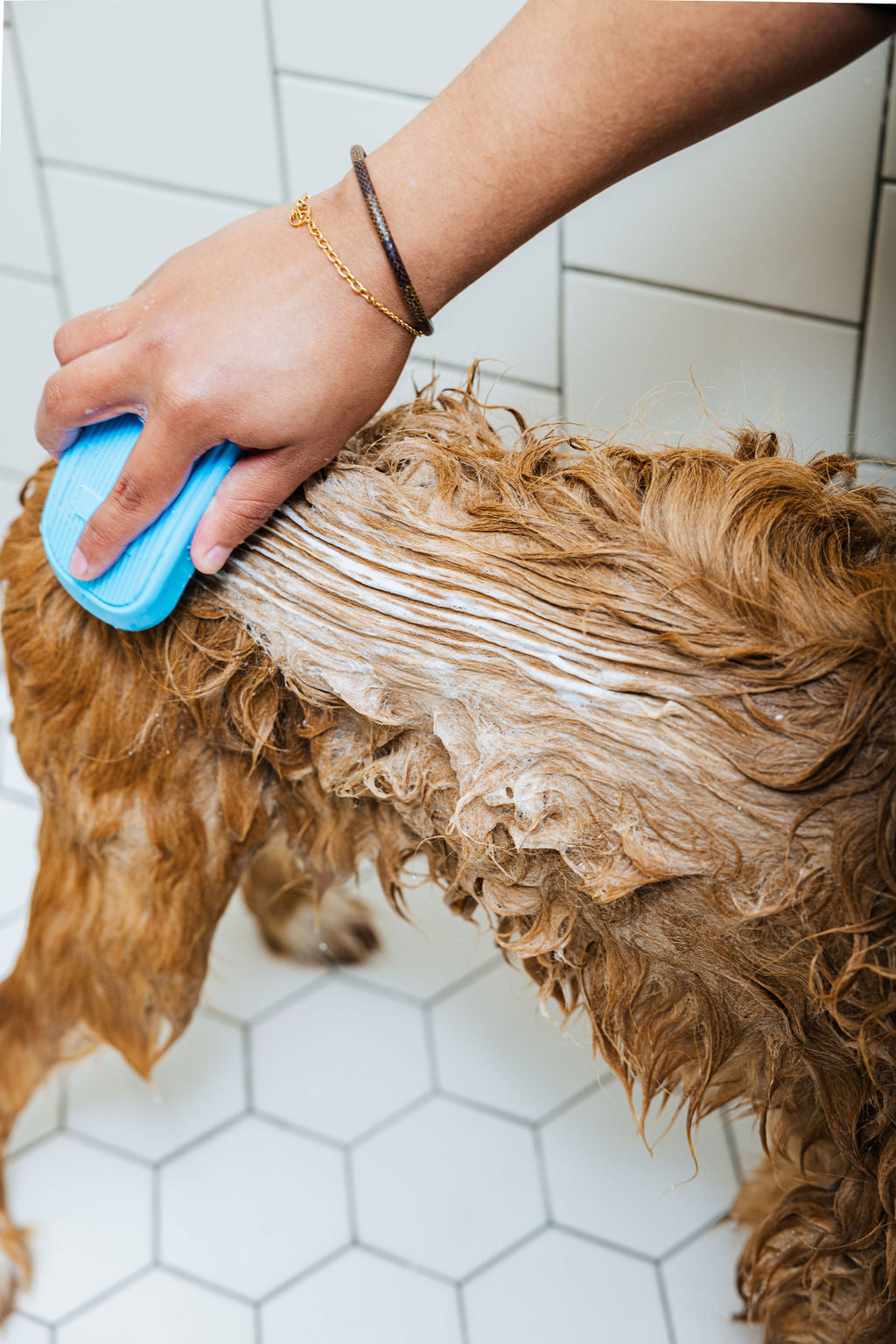 Cleo & Hooman Spaw Day Shampoo and Conditioner Duo