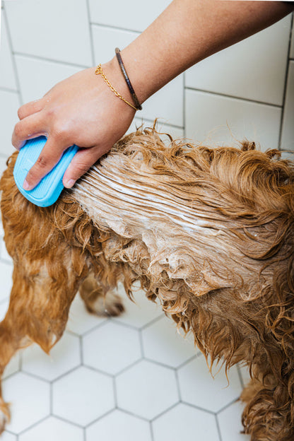Cleo & Hooman Spaw Day Shampoo and Conditioner Duo