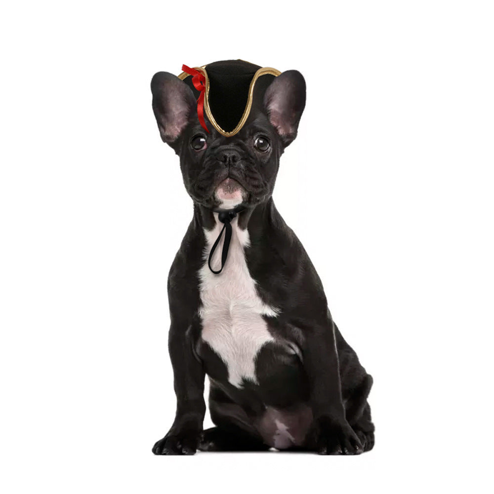 Cartoon Pet Costume Hat