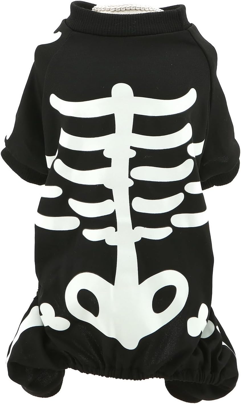 The Glowbone Skeleton Pet Suit