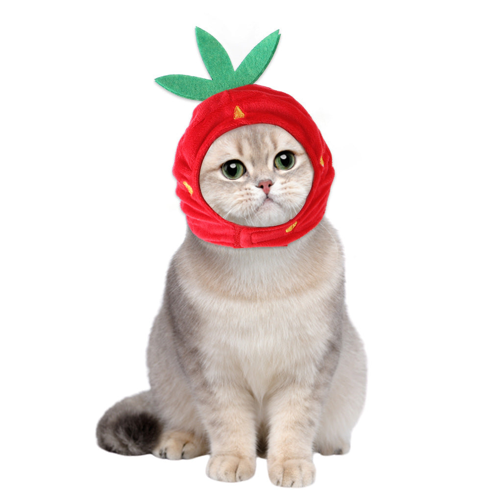 Cartoon Pet Costume Hat
