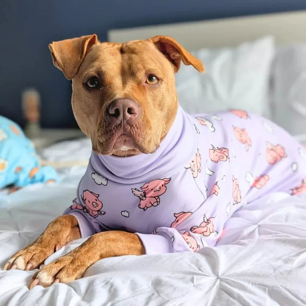 When Pigs Fly Dog Pajamas
