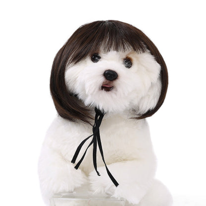 Halloween Pet Wig
