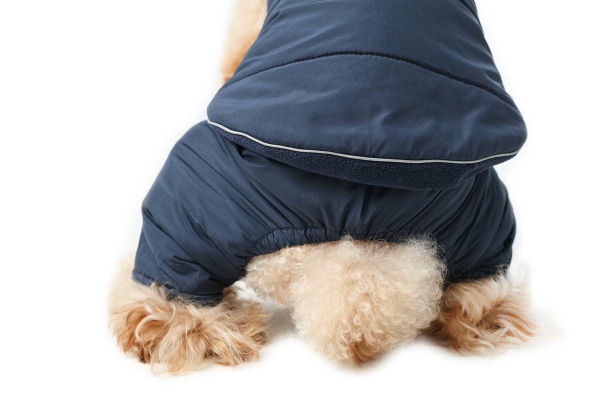 The Scarlet Rambler Reversible Dog Vest