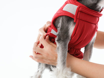The Scarlet Rambler Reversible Dog Vest