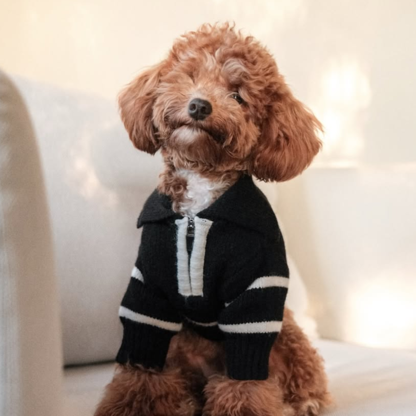 The Cortado — Black Striped Quarter-Zip Dog Sweater