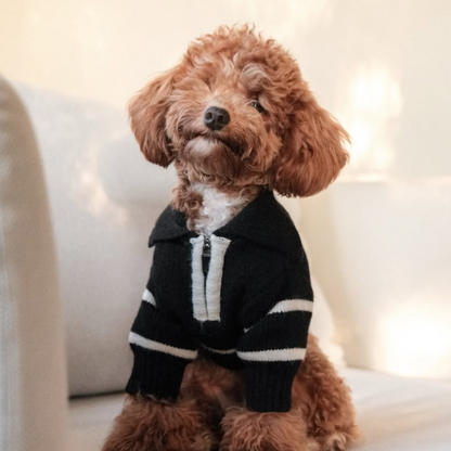 The Cortado — Black Striped Quarter-Zip Dog Sweater