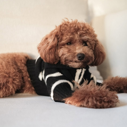 The Cortado — Black Striped Quarter-Zip Dog Sweater