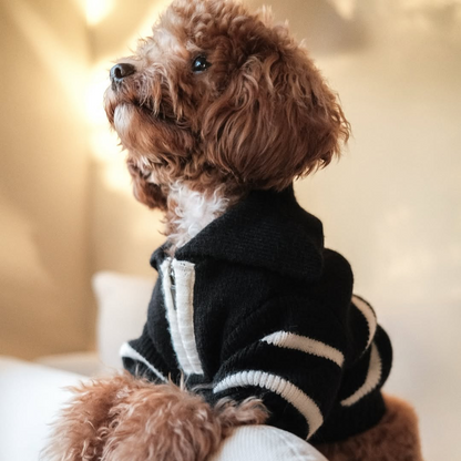 The Cortado — Black Striped Quarter-Zip Dog Sweater