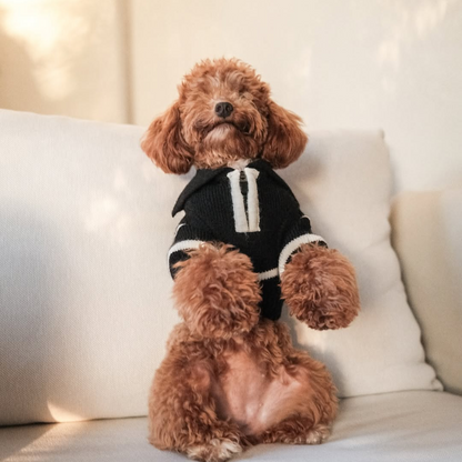 The Cortado — Black Striped Quarter-Zip Dog Sweater
