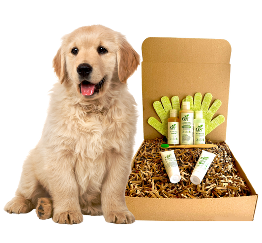 ReNewedPet 4-Furry Dogs Restorative Grooming Kit