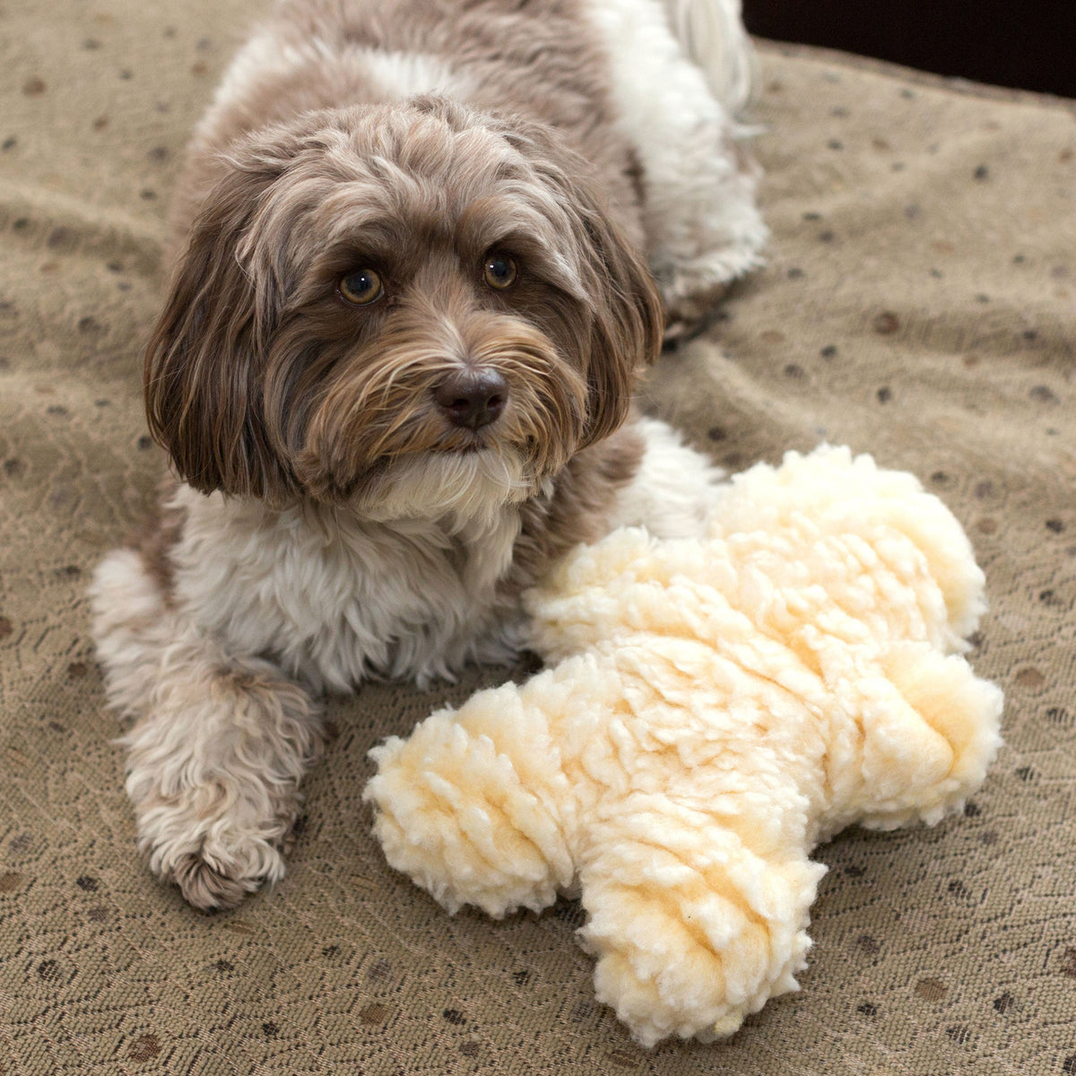 HuggleFleece Man Plush Dog Toy — Regular