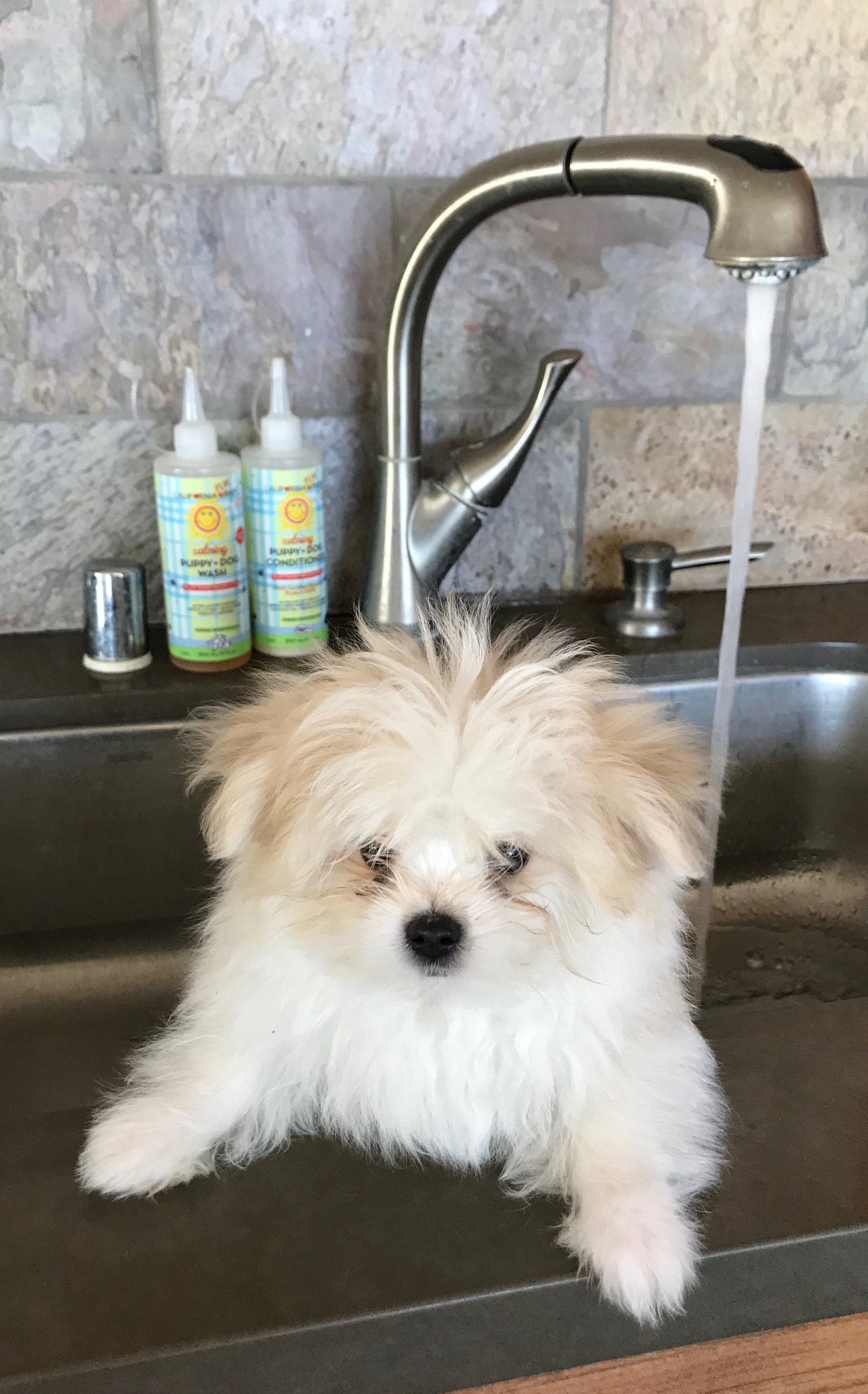 Calming Puppy & Dog Wash and Conditioner Set