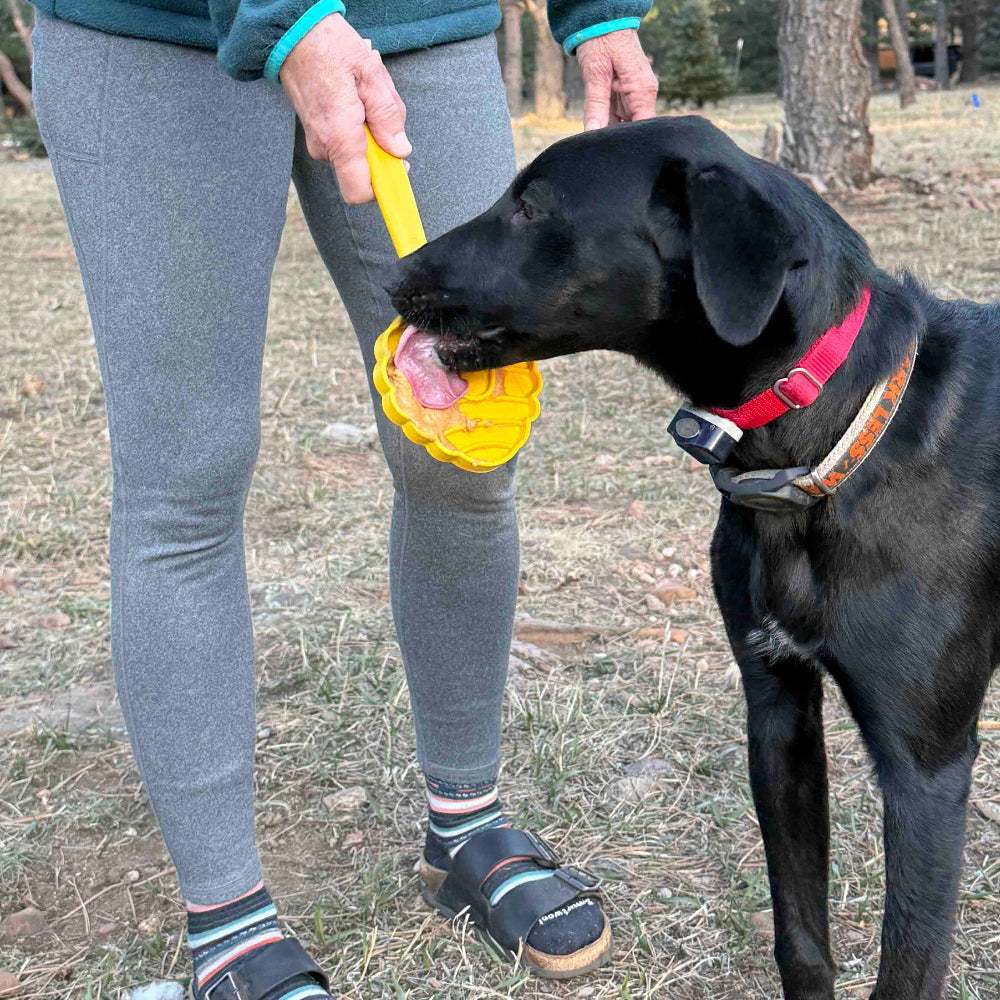 The Distraction Wand — Handheld Lick Toy