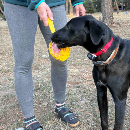 The Distraction Wand — Handheld Lick Toy