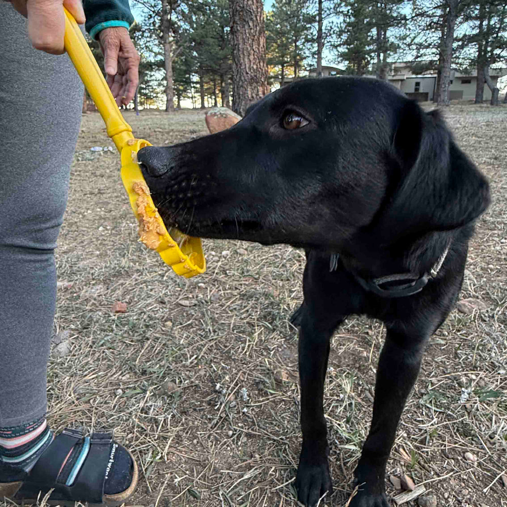 The Distraction Wand — Handheld Lick Toy