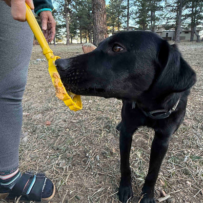 The Distraction Wand — Handheld Lick Toy
