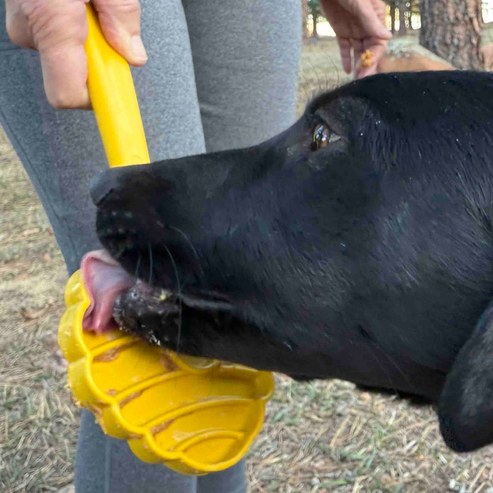 The Distraction Wand — Handheld Lick Toy