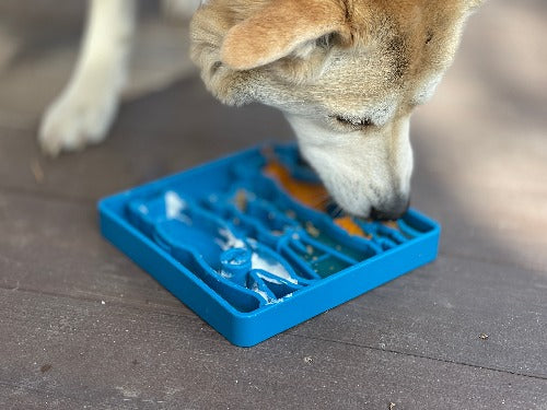 Waiting Dogs eTray Shallow Slow Feeder Bowl