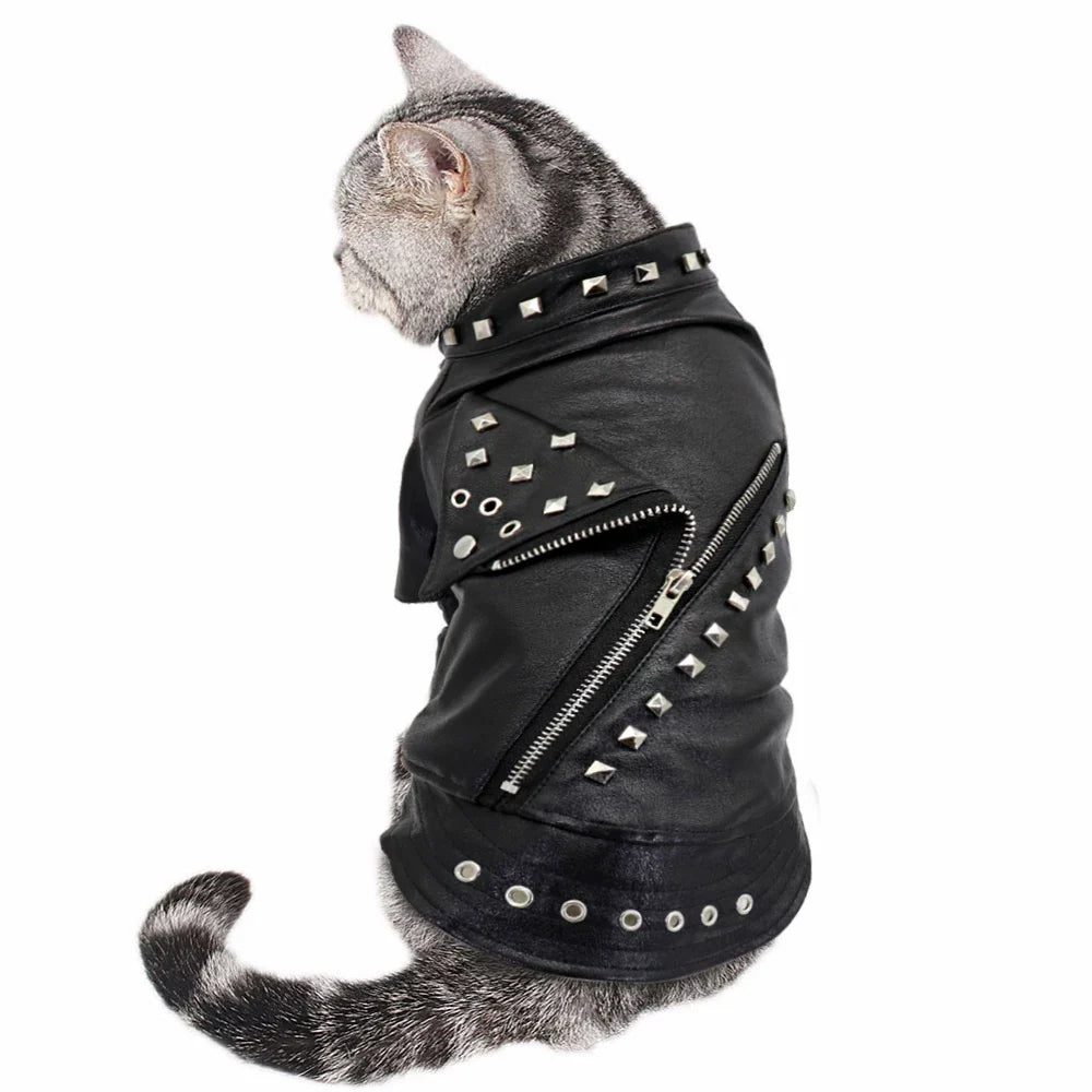 The Midnight Rebel — Studded Dog Jacket
