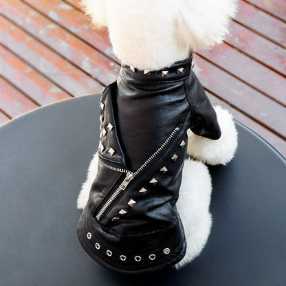 The Midnight Rebel — Studded Dog Jacket