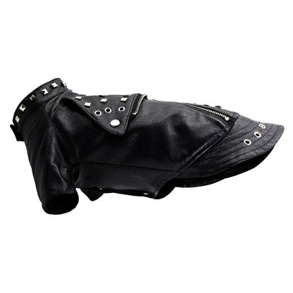 The Midnight Rebel — Studded Dog Jacket