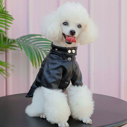 The Midnight Rebel — Studded Dog Jacket