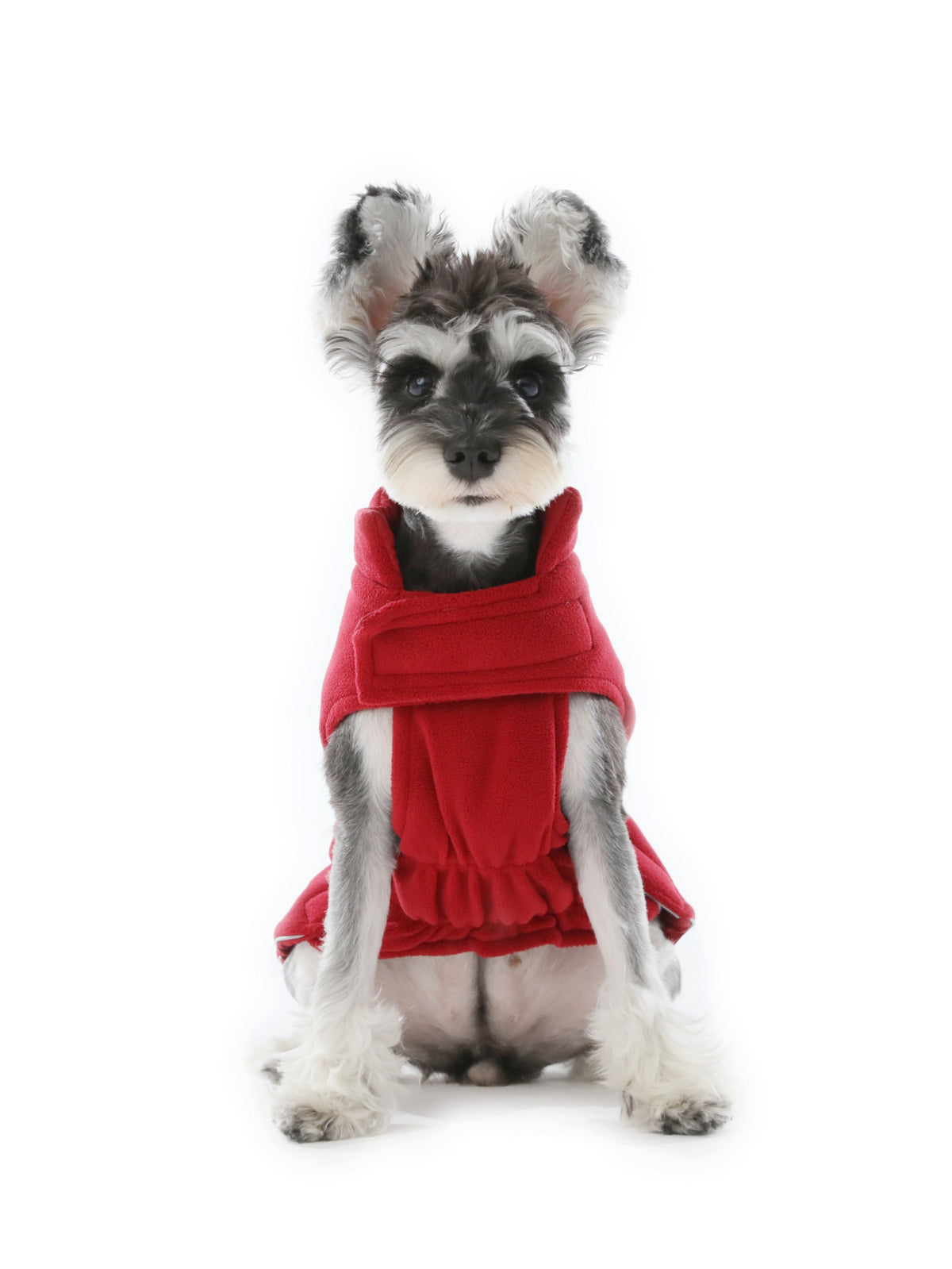 The Scarlet Rambler Reversible Dog Vest