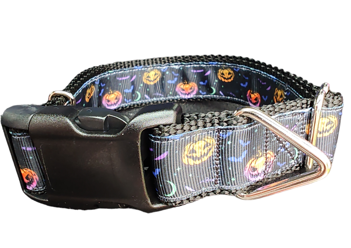 Fright Night Nylon Dog Collar