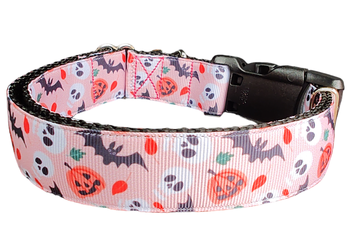 Spooky Friends Nylon Dog Collar