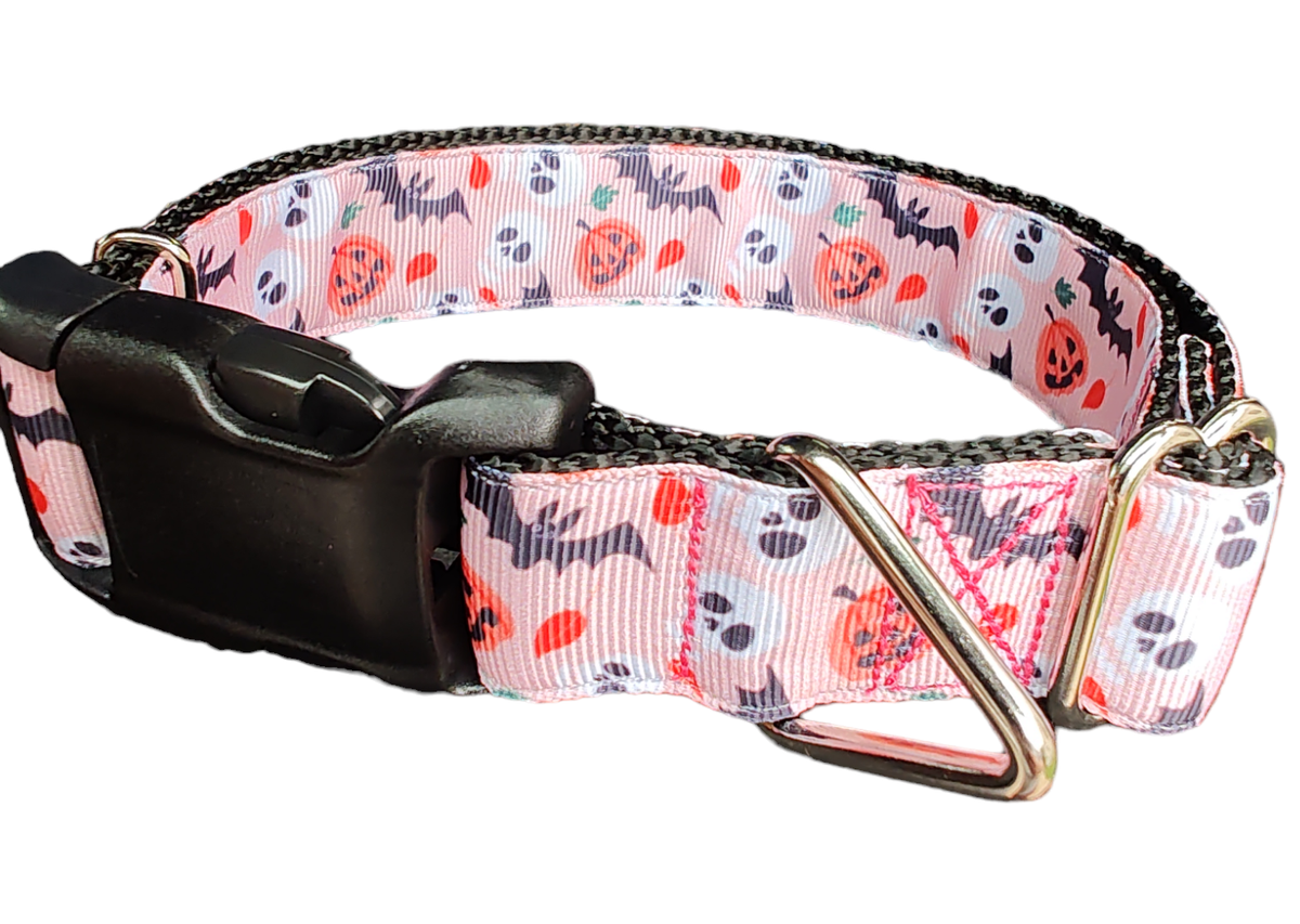 Spooky Friends Nylon Dog Collar
