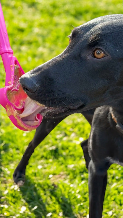 The Distraction Wand — Handheld Lick Toy