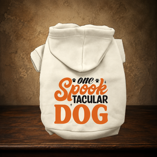 The Spooktacular Everyday Pet Hoodie displayed on the approved antique plaster and walnut table